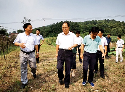 趙振華實(shí)地調(diào)研六國(guó)扶貧項(xiàng)目時(shí)要求    努力做強(qiáng)做優(yōu)集體產(chǎn)業(yè)   帶動(dòng)更多群眾脫貧致富